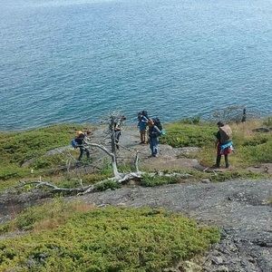 Meet your Posher, Brandon